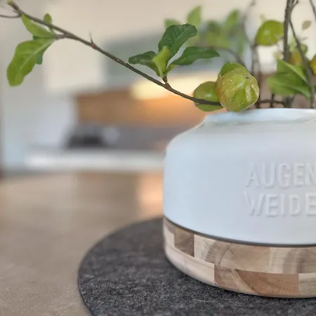 Duo - One & Two, Premium Seekirchen Lejlighed *